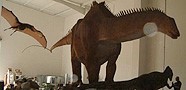 American Museum of Natural History (AMNH), New York Walking T. Rex 